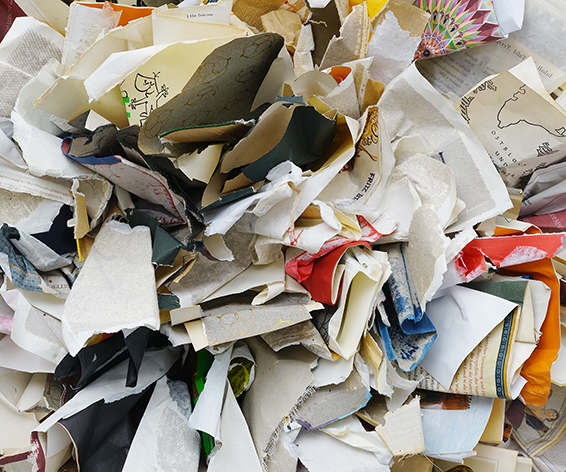 The Lure of the Limerick, Detail frontal, Buchseiten, Buchdeckel, , 2025